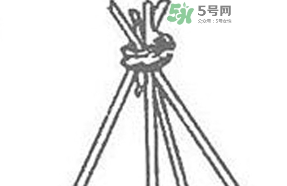 缸豆什么時(shí)候搭架？缸豆要怎樣搭架子
