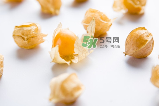 菇娘是寒性還是熱性？菇娘是哪里產(chǎn)的