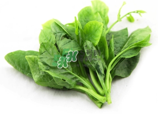 木耳菜怎么清洗？木耳菜怎么擇？
