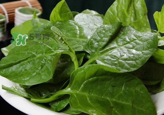 木耳菜可以生吃嗎？木耳菜可以涼拌嗎