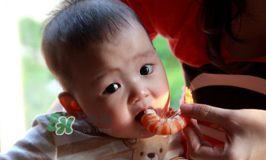 寶寶吃蝦不能和什么一起吃？寶寶吃蝦的注意事項(xiàng)