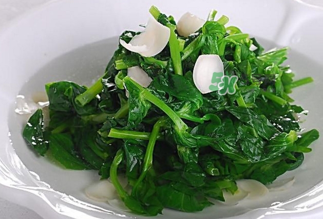 木耳菜是什么菜？木耳菜對人有哪些好處？