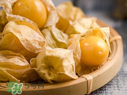 姑娘果可以直接吃嗎？姑娘果多吃有什么害處