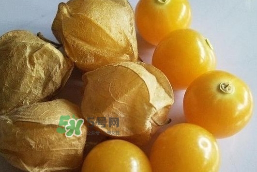 菇娘果皮有用還是果實(shí)有用？紅菇娘泡水喝用皮還是用果