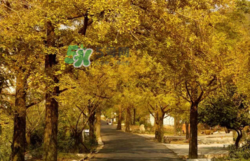 9月份去浙江穿什么？九月份去浙江穿什么衣服