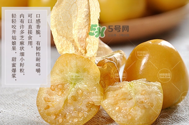 菇娘是寒性還是熱性？菇娘是哪里產(chǎn)的