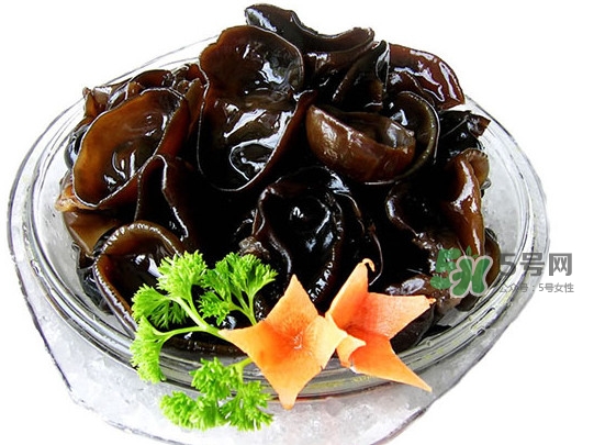 木耳菜是什么季節(jié)的菜？木耳和木耳菜有區(qū)別嗎