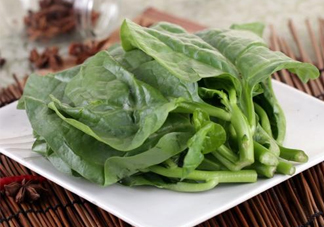 木耳菜和什么食物相克？木耳菜不能和什么一起吃