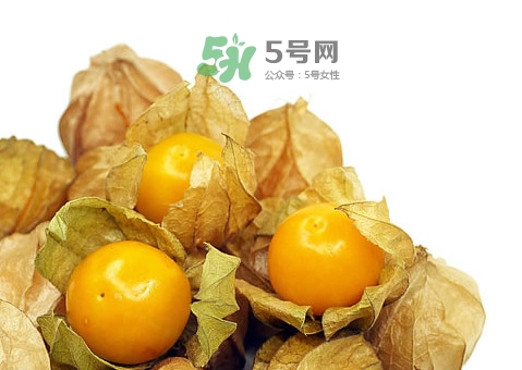 姑娘果可以放冰箱嗎？姑娘果可以放多久