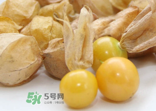 黃菇娘幾月種植？黃菇娘的種植注意事項
