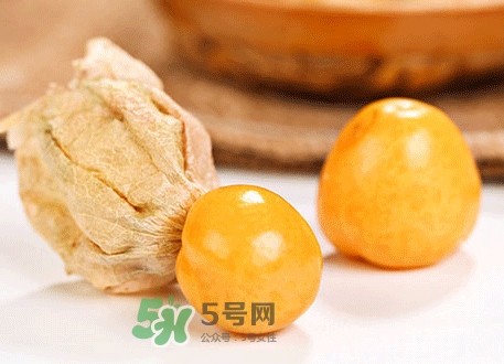 菇娘不能和什么一起吃？紅菇娘泡水喝有什么好處