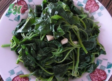野莧菜有毒嗎？野莧菜怎么吃
