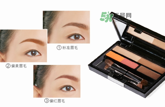 ipsa五色眉粉怎么用？ipsa茵芙莎五色眉粉使用方法