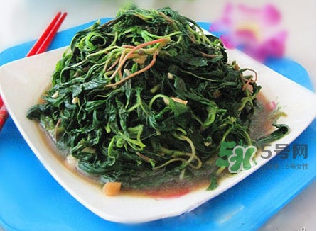 野莧菜怎么做好吃？野莧菜怎么保存