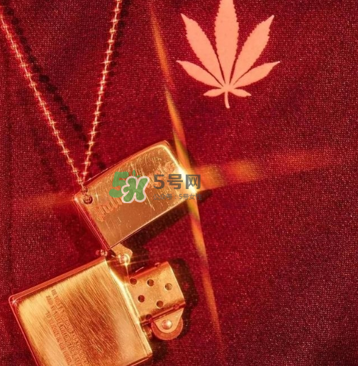 palm angels是什么牌子_哪個(gè)國(guó)家的_什么檔次？