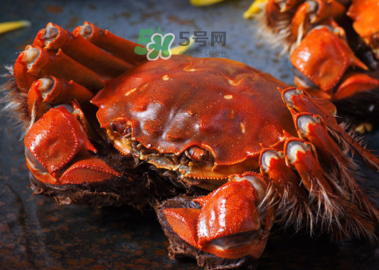 2017年陽澄湖大閘蟹多少錢一斤？2017陽澄湖大閘蟹價格