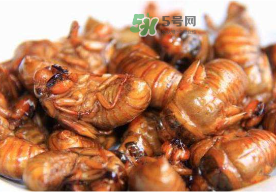 立秋后的知了還能吃嗎？立秋還有知了猴嗎？