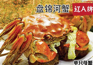 2017盤錦河蟹多少錢一斤？2017盤錦河蟹價(jià)格預(yù)測