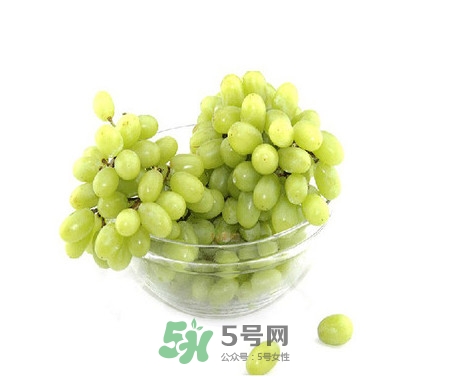 馬奶葡萄是提子嗎？馬奶葡萄怎么洗？