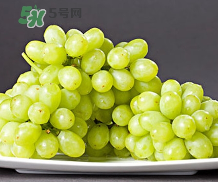 馬奶葡萄是只有新疆有嗎？綠馬奶葡萄為什么發(fā)澀