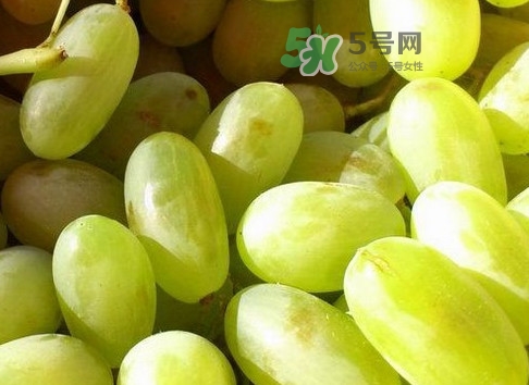 馬奶葡萄是提子嗎？馬奶葡萄怎么洗？