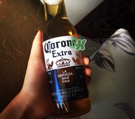 科羅娜啤酒多少度？科羅娜啤酒怎么樣