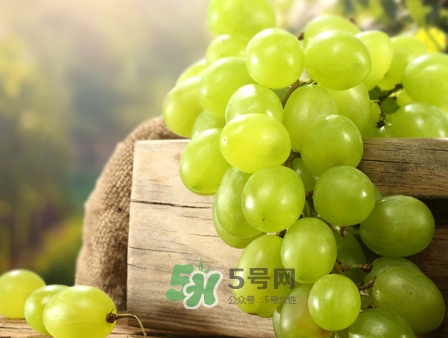 馬奶葡萄幾月成熟？吃馬奶葡萄有什么好處？
