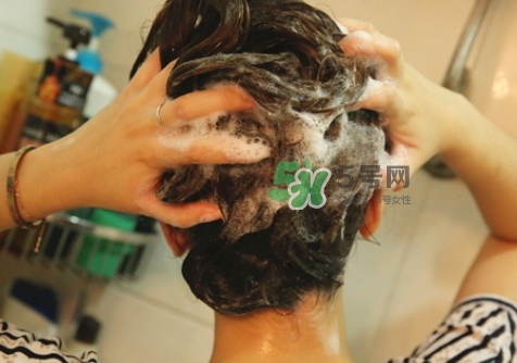 hair recipe洗發(fā)水多少錢(qián)？hair recipe水果洗發(fā)水保質(zhì)期