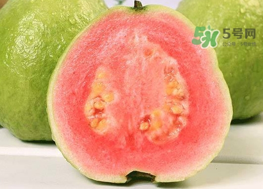 紅芭樂怎么吃？芭樂是熱的還是涼的