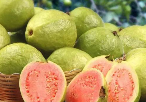芭樂多少錢一斤？紅心芭樂多少錢一斤