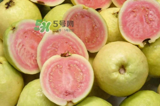 芭樂能和酸奶一起吃嗎？酸奶可以和芭樂一起吃嗎