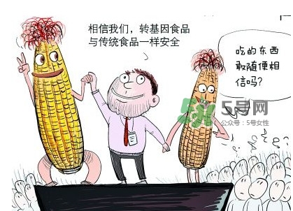 雜交水稻是不是轉(zhuǎn)基因？轉(zhuǎn)基因食品有哪些？