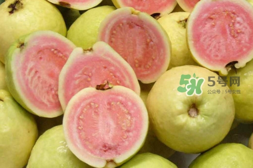 芭樂皮能吃嗎？芭樂皮可以吃嗎
