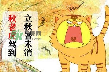 秋老虎熱嗎？末伏熱還是秋老虎熱？