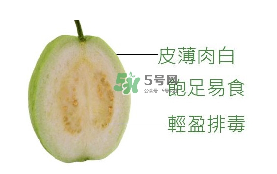 芭樂可以減肥嗎？吃芭樂可以喝牛奶嗎？