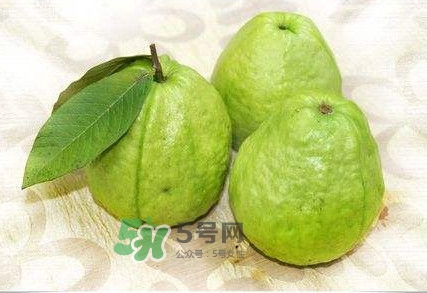 新鮮芭樂可以放幾天？芭樂能放多久