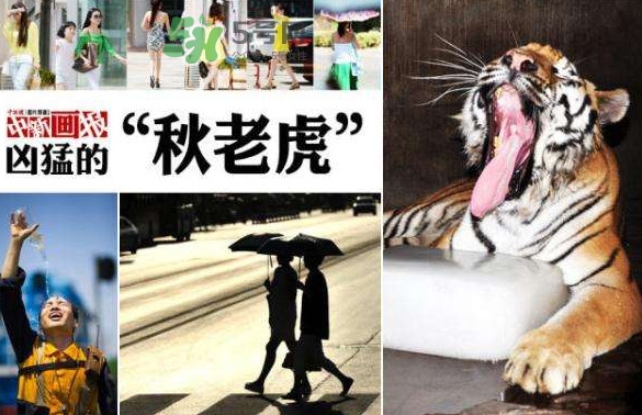 秋老虎有多熱？秋老虎一般是怎么算的？
