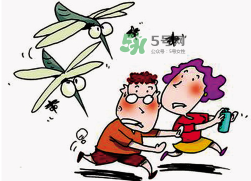 八月份還有蚊子嗎？八月份蚊子多嗎？
