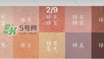 zoeva玫瑰金眼影盤怎么畫？zoeva rose golden畫法教程