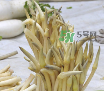 2017年藕帶什么時候下市？藕帶下市時間是幾月？
