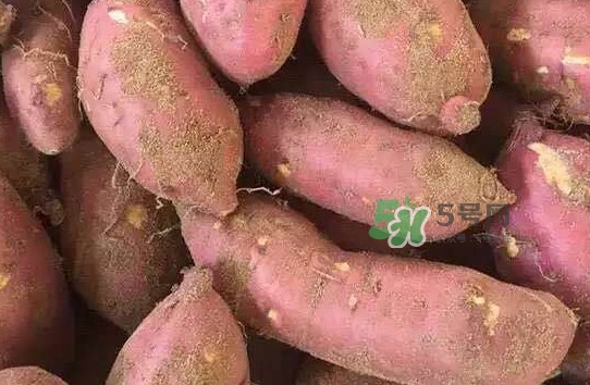 地瓜發(fā)芽了怎么種盆栽？拔絲地瓜怎么熬糖