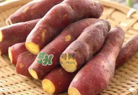 地瓜怎么做好吃？地瓜怎么吃好吃