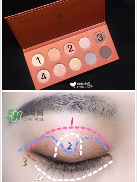 zoeva玫瑰金眼影盤怎么畫？zoeva rose golden畫法教程
