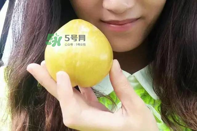 奈李是什么水果？奈李為什么會空心