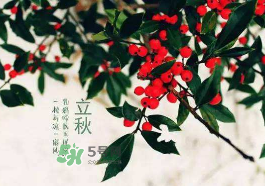 立秋為什么在處暑前？為什么立秋早過(guò)處暑？
