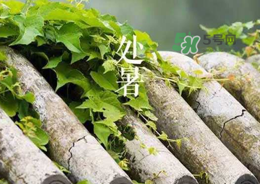立秋為什么在處暑前？為什么立秋早過(guò)處暑？