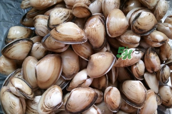 海瓜子多少錢一斤？西湖撈起的海瓜子能吃嗎