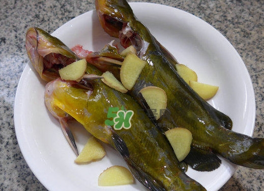 黃刺魚幾月份最好釣？黃刺魚怎么釣