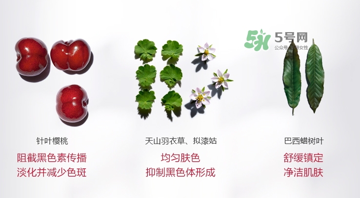 嬌韻詩牛奶水好用嗎？嬌韻詩牛奶水孕婦可以用嗎