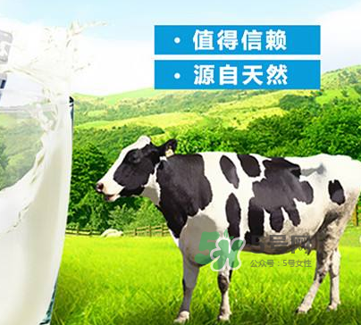 牛初乳是奶粉嗎？牛初乳跟奶粉的區(qū)別